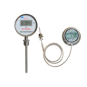 數(shù)字式溫度計